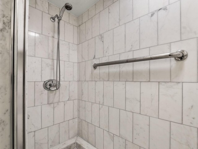 161 E Chicago Ave Unit 42H, Chicago, IL 60611 - full bathroom featuring a tile shower