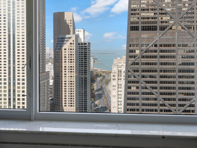 161 E Chicago Ave Unit 42H, Chicago, IL 60611 - city view with a nearby body of water