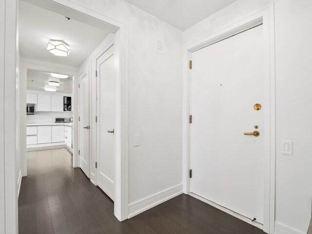 hallway featuring dark wood-type flooring