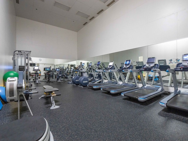 exercise room featuring a high ceiling