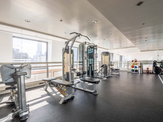 161 E Chicago Ave Unit 42H, Chicago, IL 60611 - exercise room with a city view