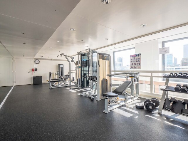 161 E Chicago Ave Unit 42H, Chicago, IL 60611 - gym with a view of city