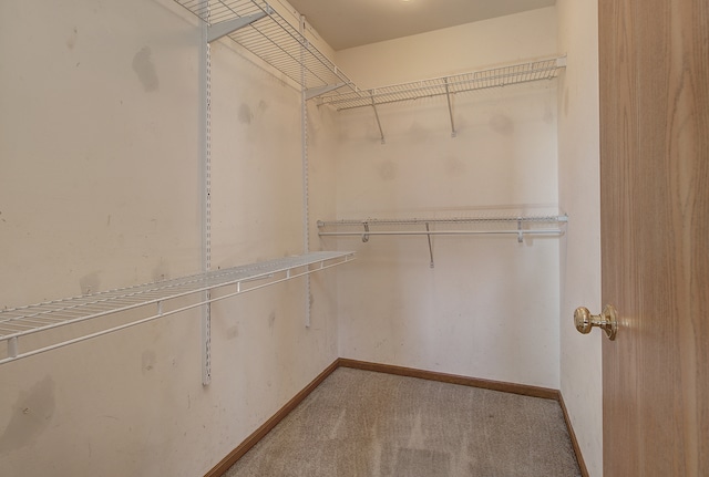 spacious closet featuring light colored carpet