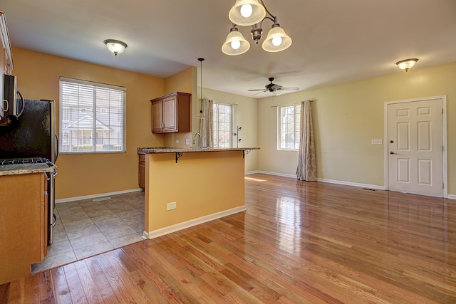 kitchen with a breakfast bar, light hardwood / wood-style floors, kitchen peninsula, and a healthy amount of sunlight