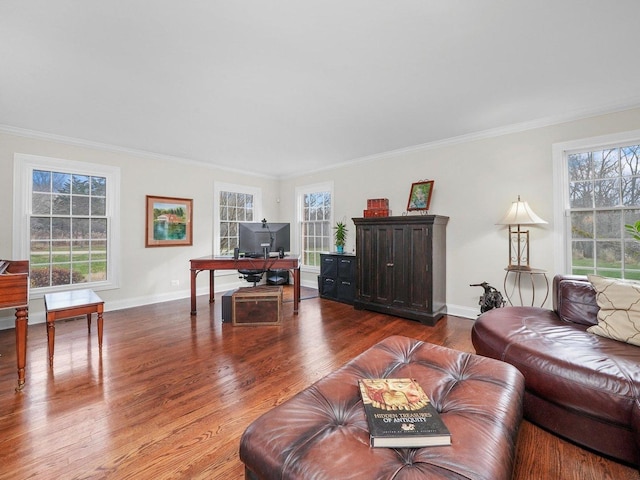 living room featuring hardwood / wood-style flooring, crown molding, and a wealth of natural light