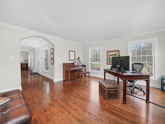 office space with dark hardwood / wood-style flooring, a wealth of natural light, and ornamental molding