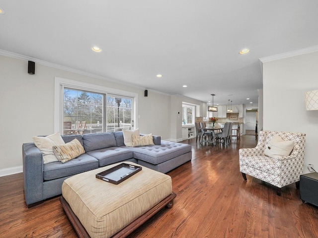 living room featuring crown molding and dark hardwood / wood-style floors