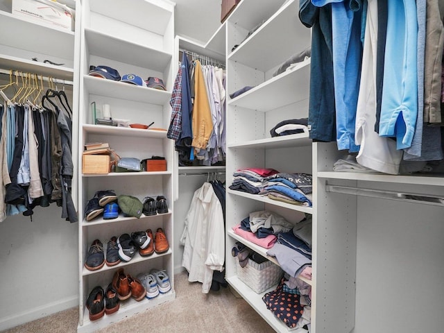 spacious closet with carpet flooring