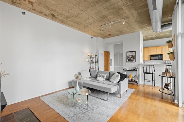 living room featuring light hardwood / wood-style flooring