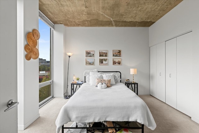 bedroom with a closet and light colored carpet