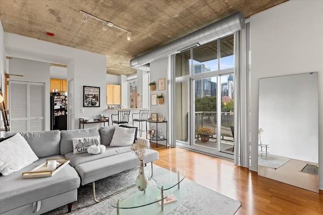 living room featuring wood-type flooring