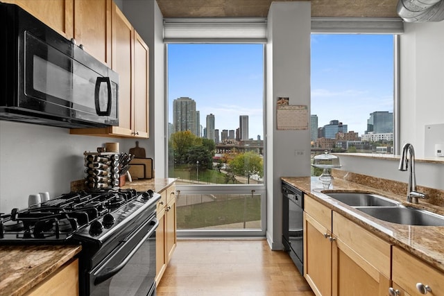 kitchen featuring light hardwood / wood-style floors, black appliances, sink, and plenty of natural light