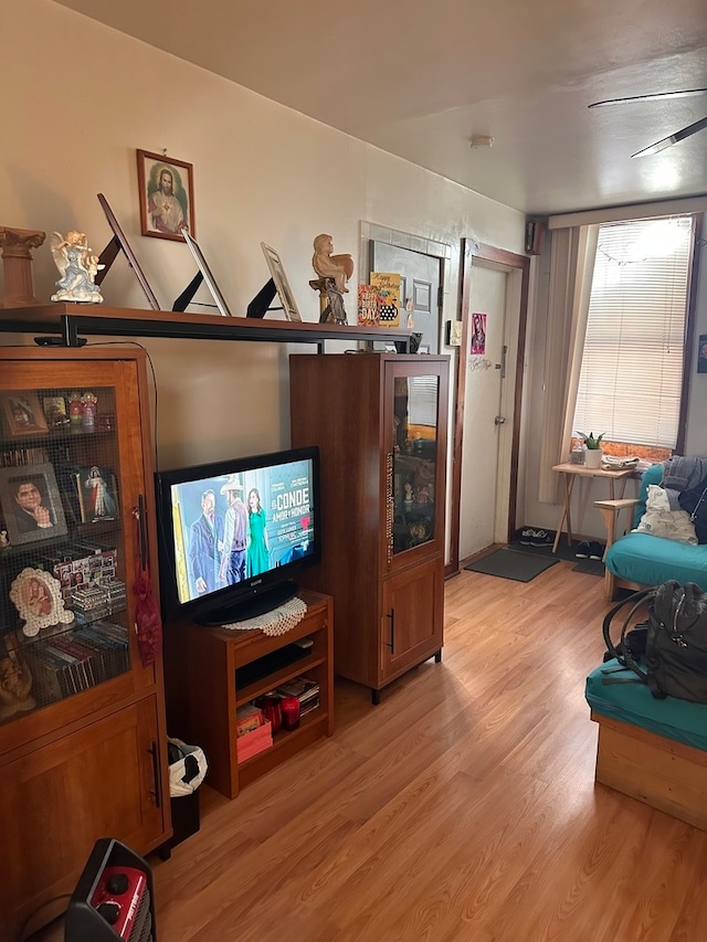 living room featuring light hardwood / wood-style floors