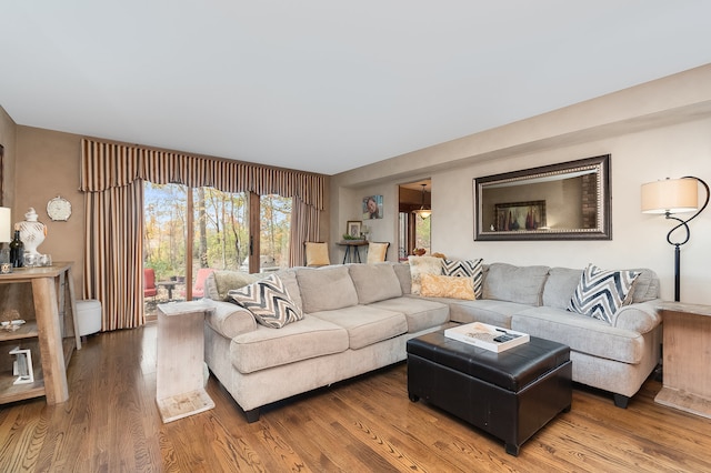 living room with hardwood / wood-style flooring