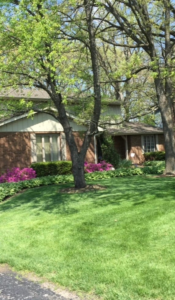 exterior space featuring a yard