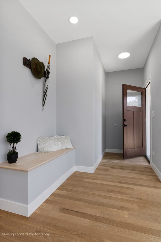 entrance foyer with light hardwood / wood-style floors