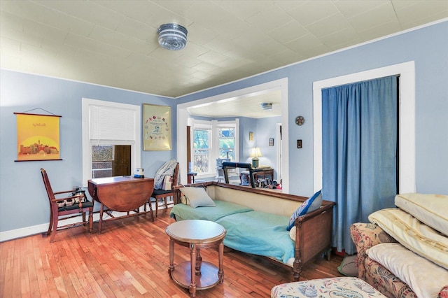 living room with wood-type flooring