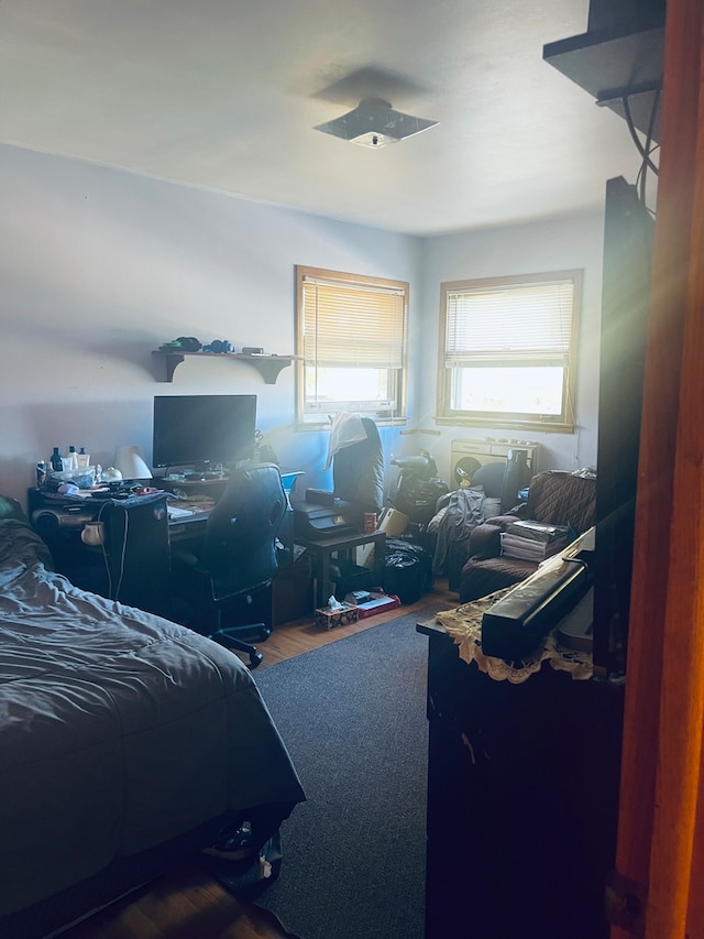 bedroom featuring wood-type flooring