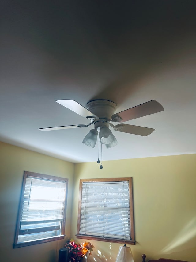 details with ceiling fan