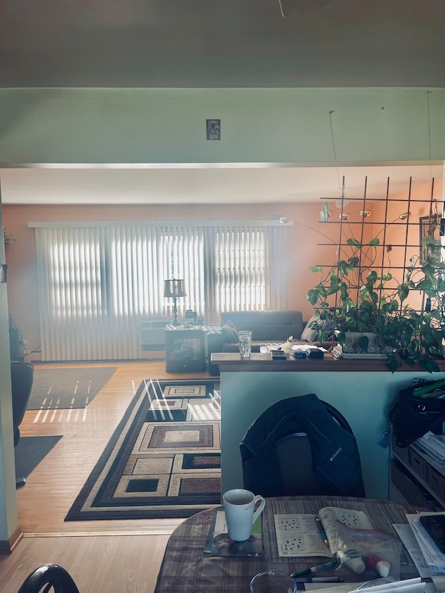 living room featuring a wealth of natural light and hardwood / wood-style flooring