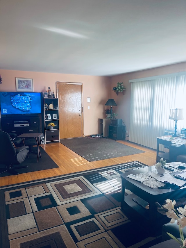 living room featuring wood-type flooring