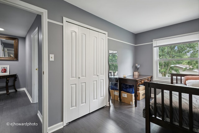 bedroom with a closet and dark wood-type flooring