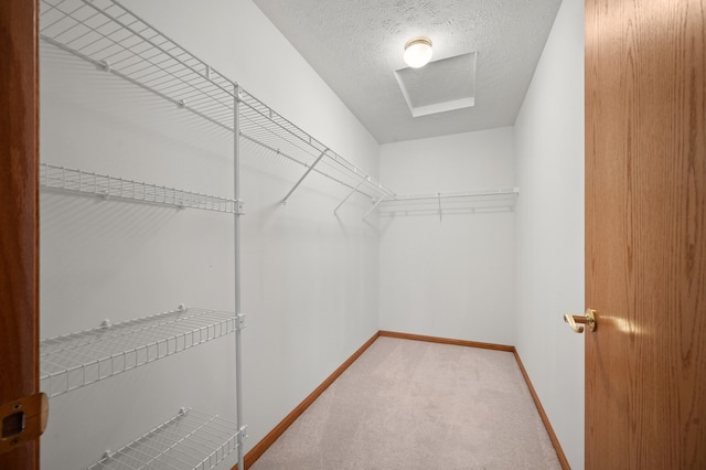 walk in closet featuring carpet