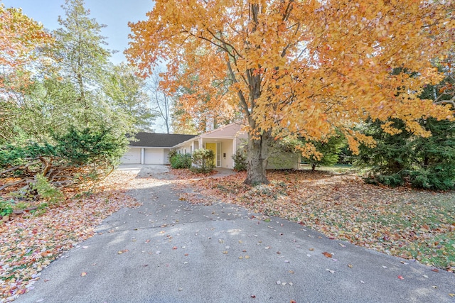 view of property hidden behind natural elements featuring a garage