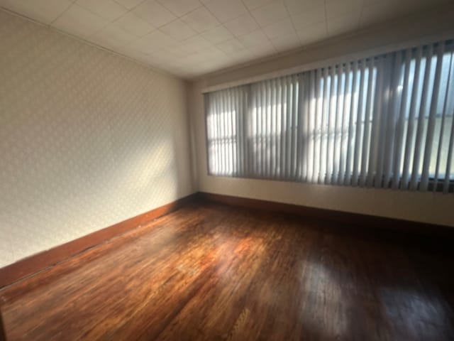 unfurnished room featuring dark wood-type flooring