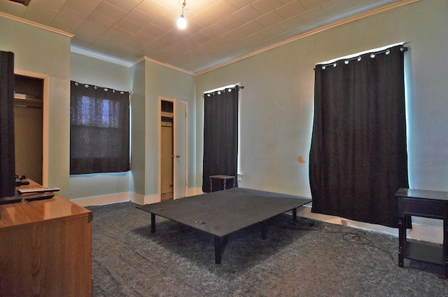 interior space with crown molding and carpet floors