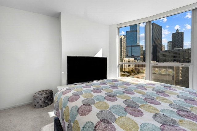 view of carpeted bedroom