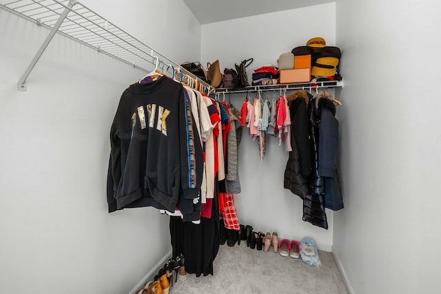 spacious closet featuring carpet