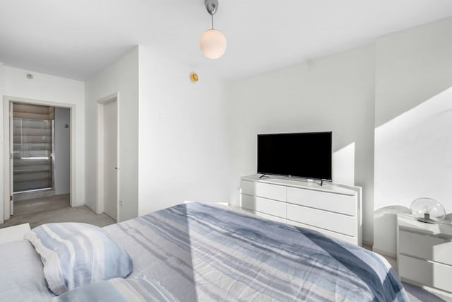 bedroom featuring light hardwood / wood-style floors