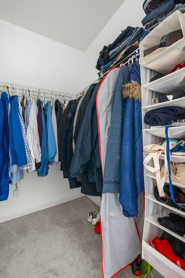 walk in closet featuring carpet floors