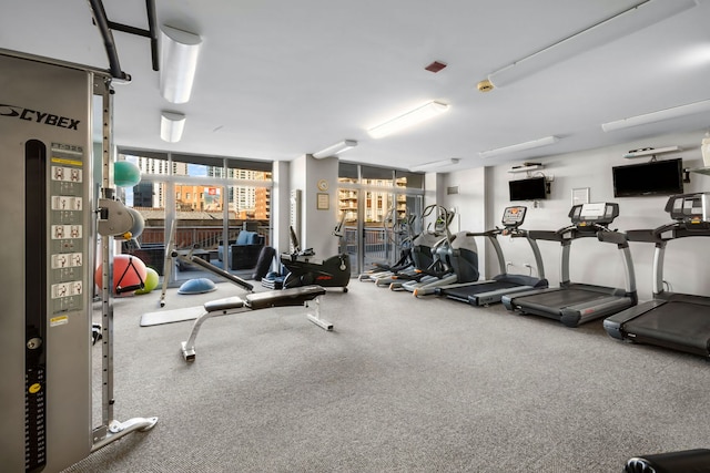 workout area with expansive windows