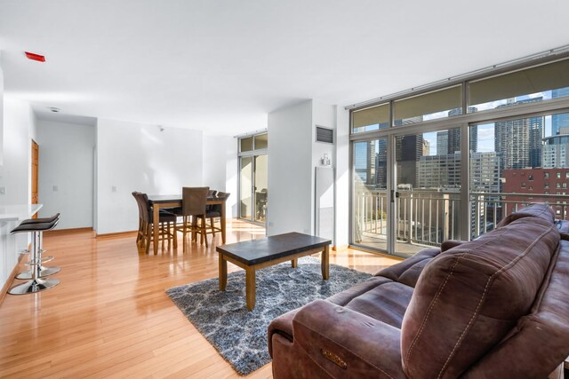 living room featuring hardwood / wood-style floors