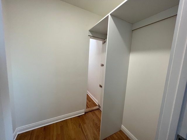 walk in closet with hardwood / wood-style floors