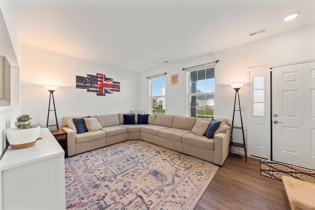 living room featuring wood-type flooring