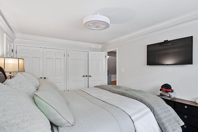 bedroom with ornamental molding and multiple closets