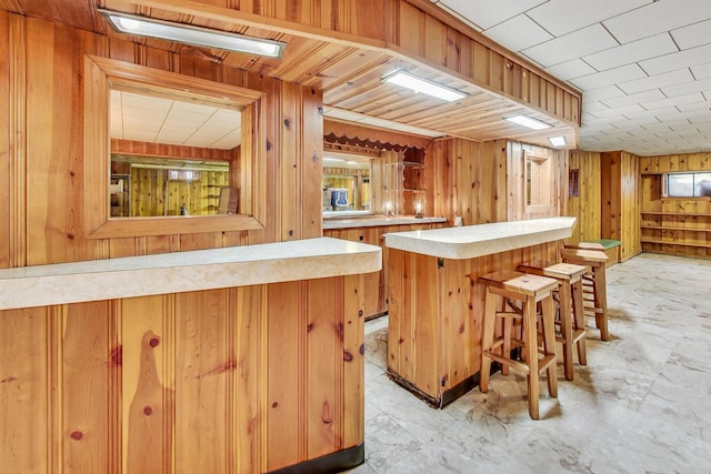 bar featuring wooden walls