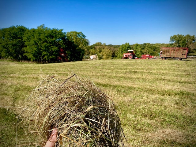 view of nature featuring a rural view