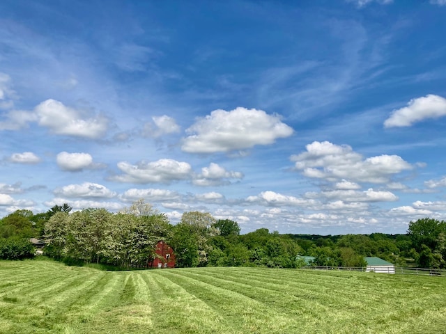 view of yard featuring a rural view