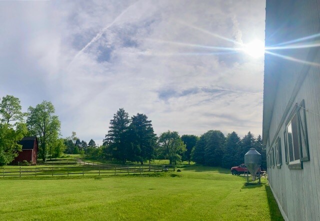 view of property's community with a rural view and a lawn