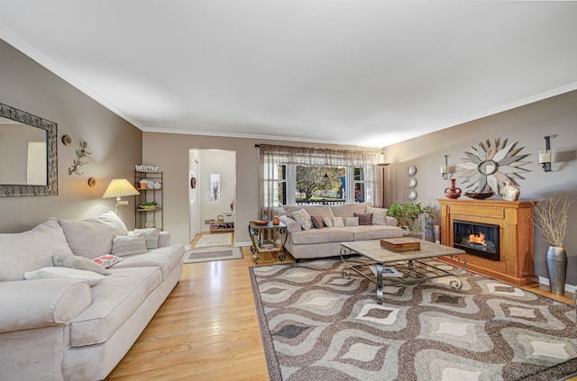 living room featuring ornamental molding and light wood-type flooring