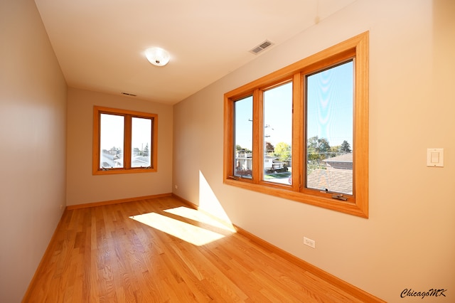 empty room featuring a wealth of natural light and light hardwood / wood-style floors