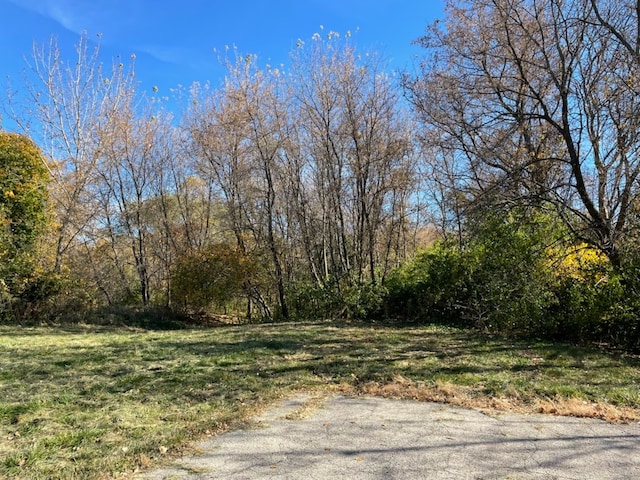 LOT100 S St, Elgin IL, 60124 land for sale