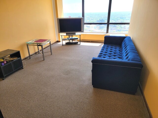 view of carpeted living room