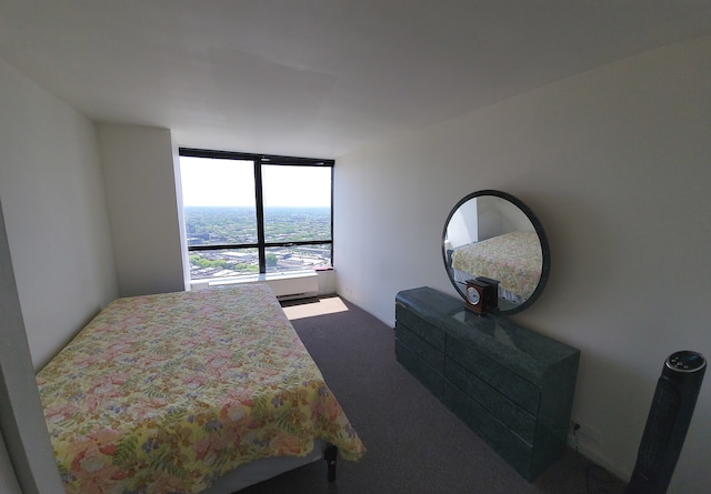 bedroom with dark carpet