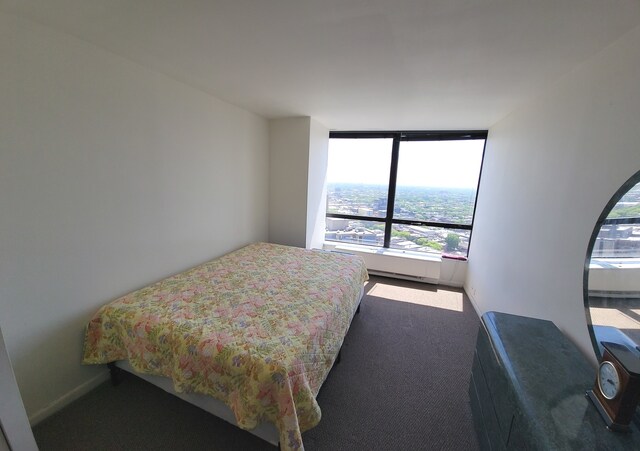 bedroom featuring multiple windows and carpet