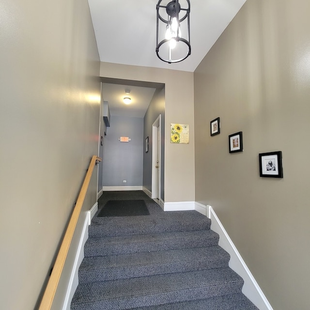 stairs featuring carpet floors